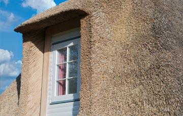 Cuan thatch roof disadvantages